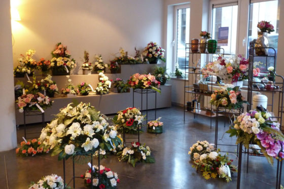 Découvrir les fleurs et les bureaux à Ottignies